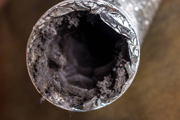 Best Professional Duct Cleaning Services  in Columbus, MS