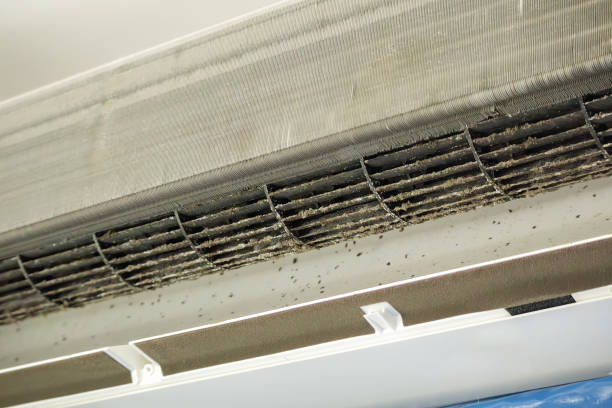 Best HVAC Air Duct Cleaning  in Columbus, MS